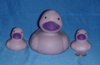 Family Ducks Purple