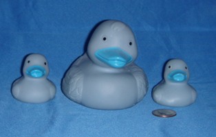 Family Ducks Blue Front