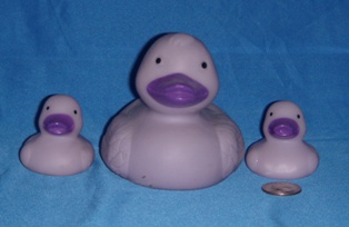 Family Ducks Purple Front