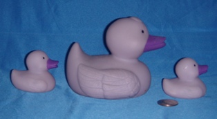 Family Ducks Purple Side