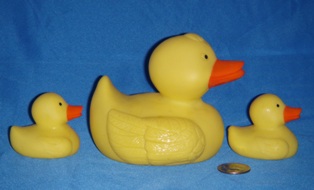 Family Ducks Yellow Side