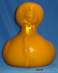 Glass Duck Front