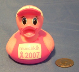 Breast Cancer 2007 Front