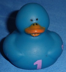 1 Duck Blue