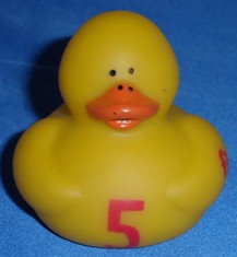 5 Duck