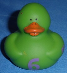 6 Duck