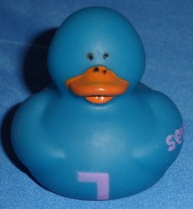 7 Duck