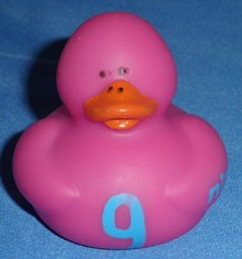 9 Duck