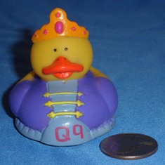 Q Duck