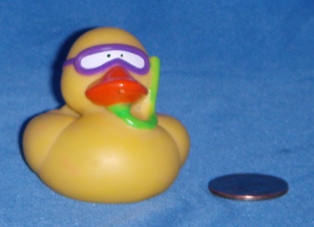 Snorkle Duck